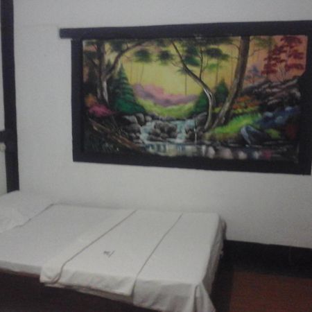 Larmar Bed And Breakfast Puerto Princesa Kültér fotó