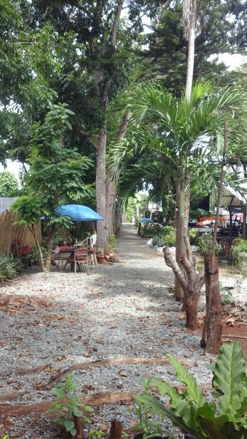 Larmar Bed And Breakfast Puerto Princesa Szoba fotó